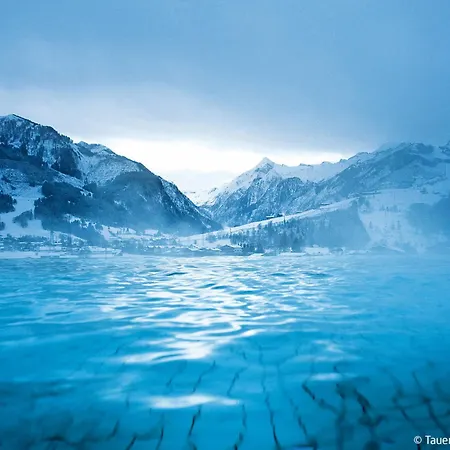 Gemuetliches In Mit Garten By Interhome Dom wakacyjny Lofer